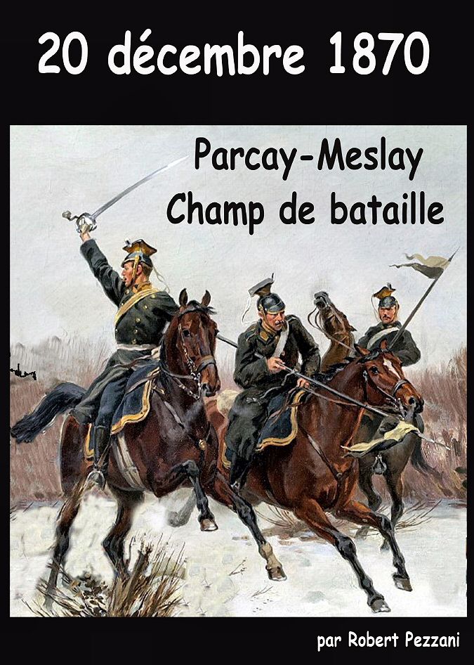 pezzani  mp_couv_2021_pezzani_parcay_meslay_